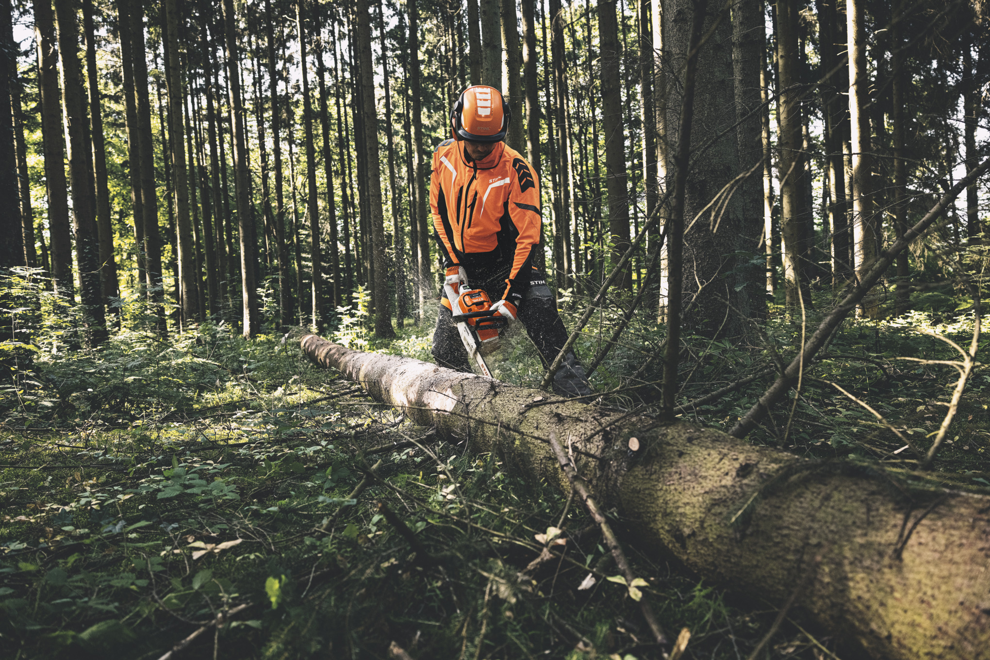 STIHL-suojavarusteita käyttävä henkilö sahaamassa puunrunkoa metsässä