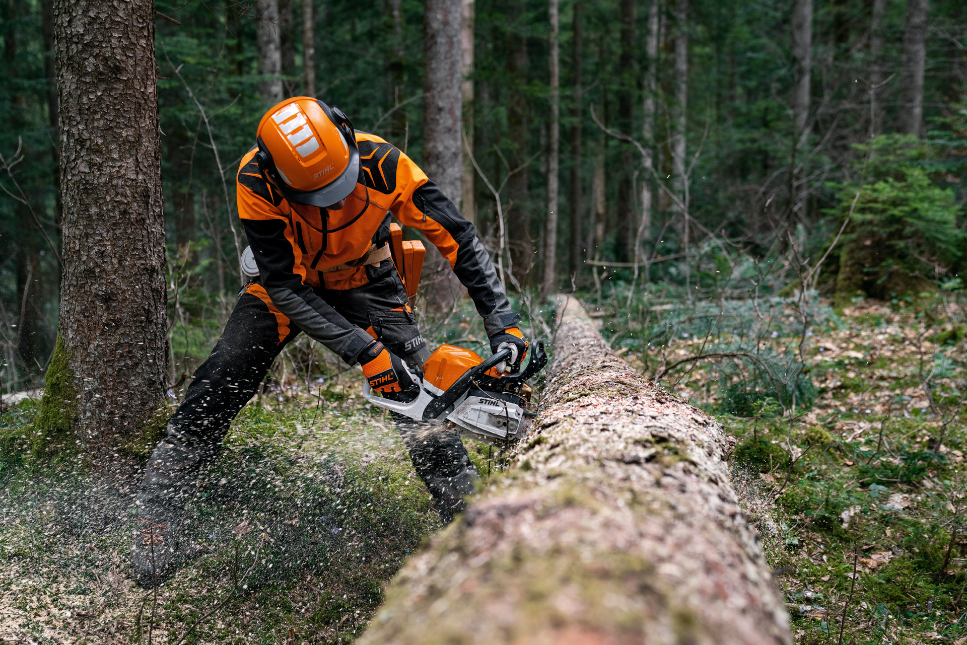 Suojavarusteisiin pukeutunut mies sahaa kaadettua puunrunkoa magnesiummännällä varustetulla polttomoottorikäyttöisellä STIHL MS 400 C-M -moottorisahalla