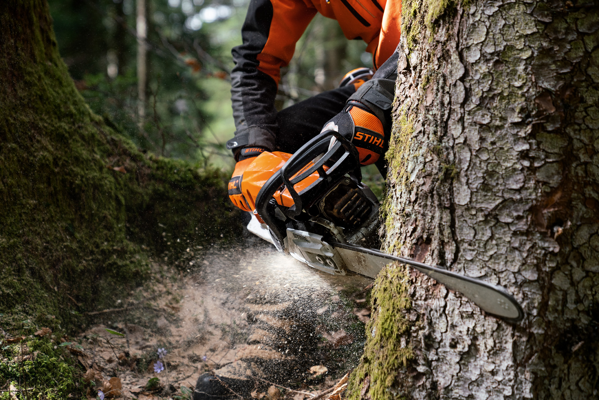 Suojavarusteisiin pukeutunut mies sahaa puuta magnesiummännällä varustetulla polttomoottorikäyttöisellä STIHL MS 400 C-M -moottorisahalla.