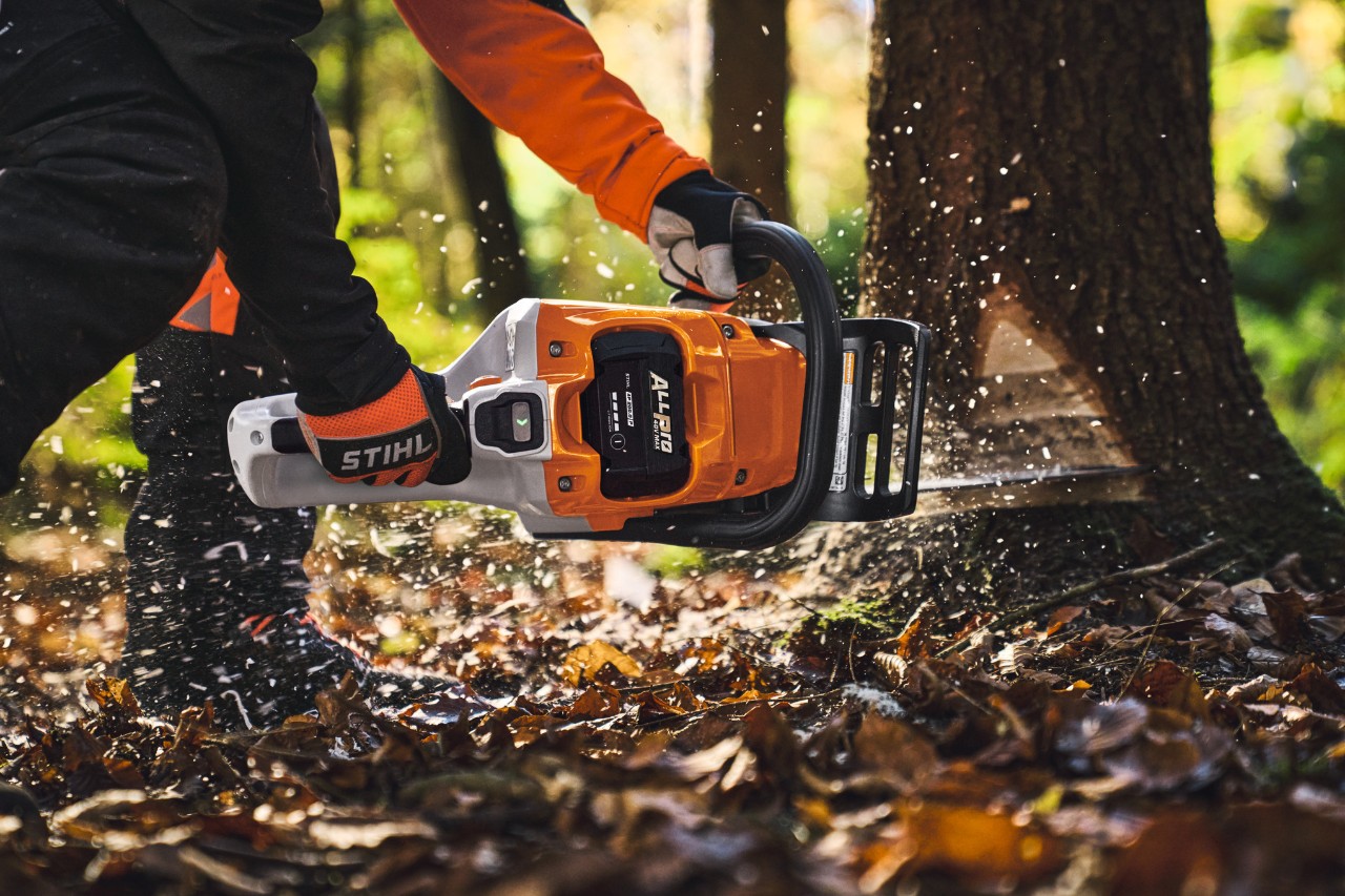 Ammattilainen kaataa puita metsässä STIHL MSA 260 akkumoottorisahalla.