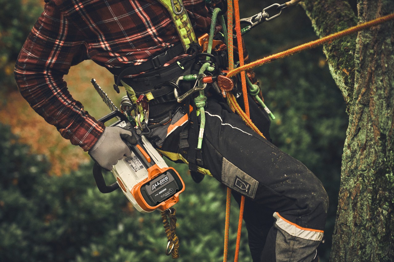 Lähikuva henkilöstä kiipeämässä puuhun STIHL MSA 190 T akkumoottorisahan kanssa.